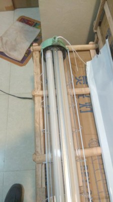 Lampu Explotion Proof T8